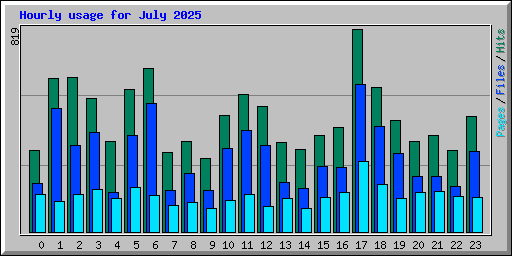 Hourly usage for July 2025
